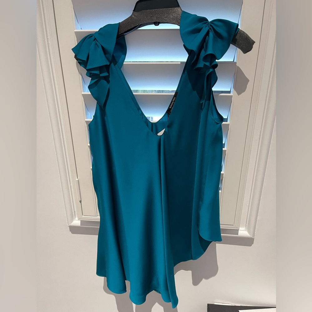 Never worn Rebecca Ortiz Silk V Neck Top
